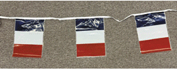 [France Poly Flag Strings]