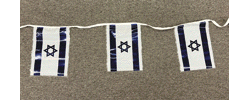 [Israel Poly Flag Strings]