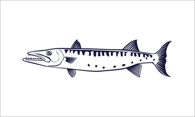 Baracuda fisherman's catch flag