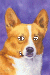 [Dog banners]